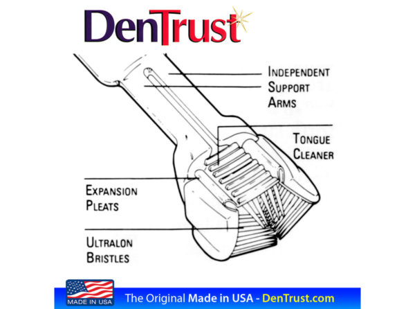 Dentrust Autism and Special Needs Toothbrush - Image 3